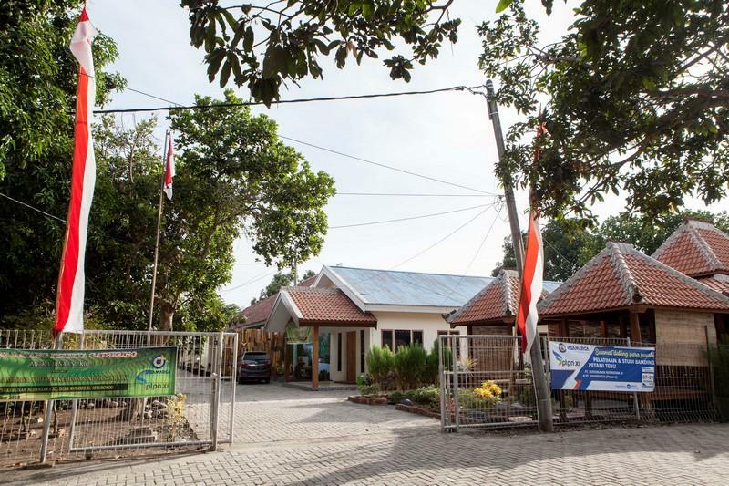 Wisma tamu Reddoorz Near Baluran National Park